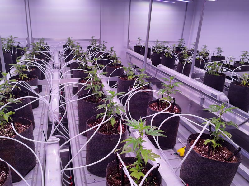 Modularer Grow Hub
